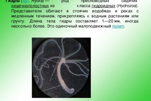 Работает ли кракен