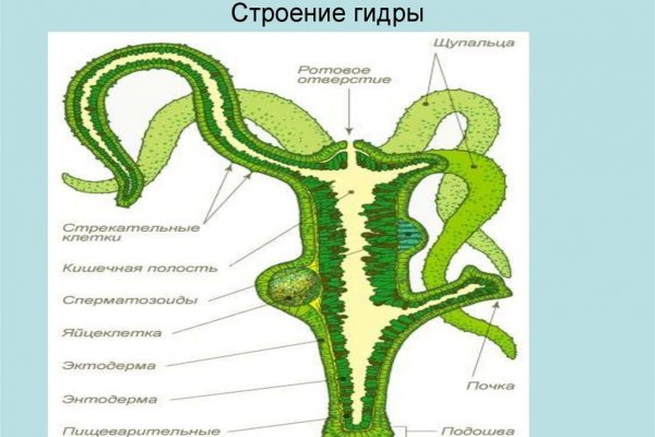 Кракен это сайт