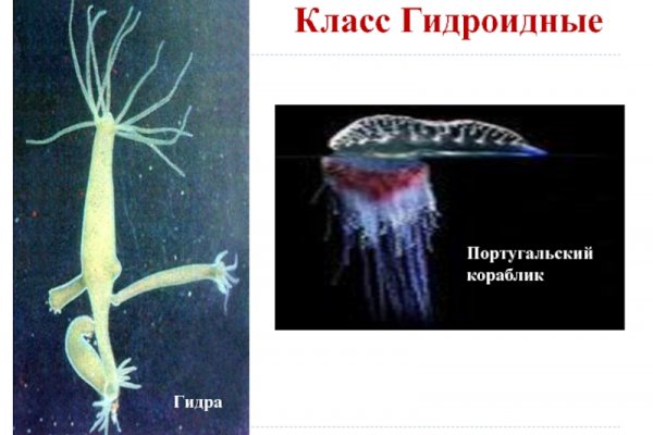 Как зайти на кракен с айфона